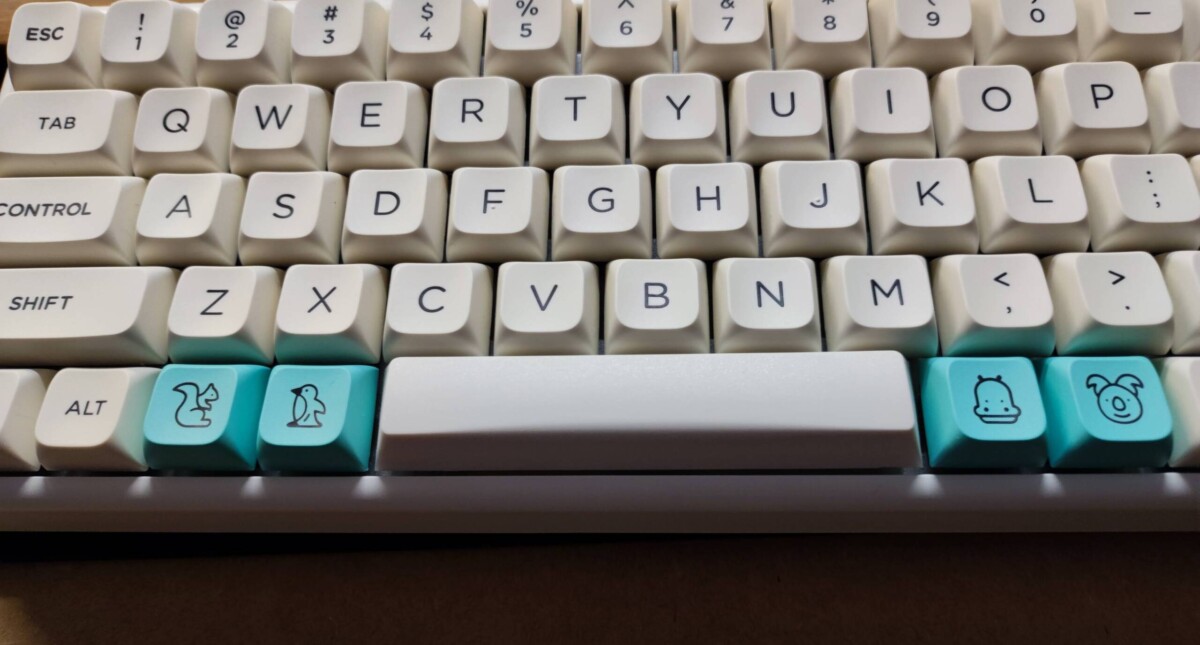 Keychron Q11, Keychron's first left-right split keyboard, is now available. 28